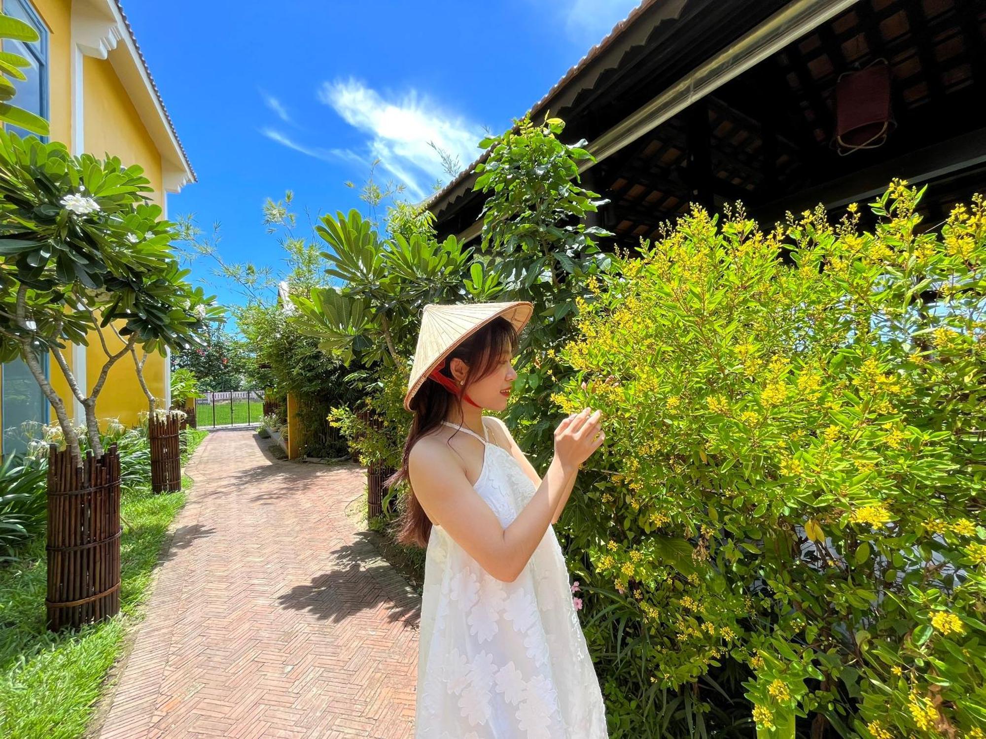 Chez Mimosa Hoi An - Rice Field - New Address Dx18, Thanh Nhut, Cam Thanh Εξωτερικό φωτογραφία
