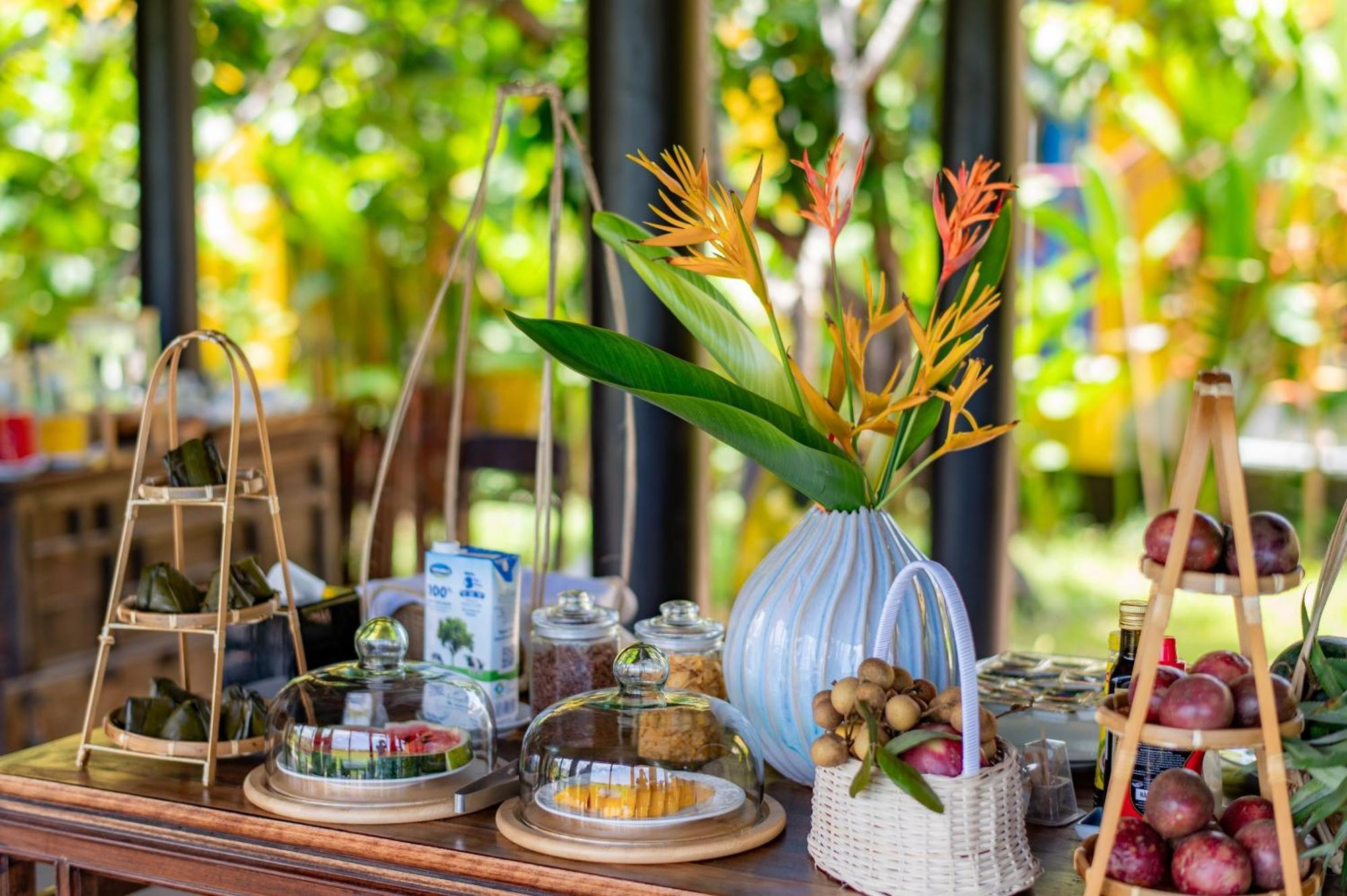 Chez Mimosa Hoi An - Rice Field - New Address Dx18, Thanh Nhut, Cam Thanh Εξωτερικό φωτογραφία